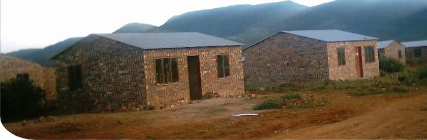 Company Overview